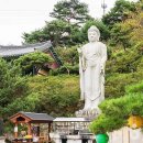 장군산 둘레길 | 가까운 거리, 깊은 가을… 세종 영평사에서 만나는 단풍