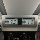 : TOKOY 東京 ❤️