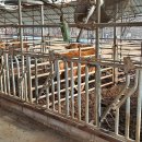 한우축사 이미지