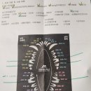 힐링힐스 동물 치과병원 이미지