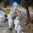 삼호축산농장 이미지