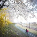 코앤아이시민한의원 이미지