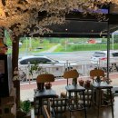 스시소담 이미지