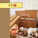 밤톨 | 무더운 여름, 하동 여행길에 만난 인생 디저트 '밤톨' 방문 후기🌱🐿