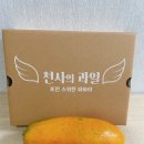 국내산 파파야 스위탄파파야, 천사의 과일이라 불리는 파파야 후기
