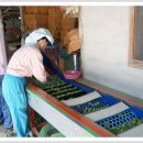 유리농원 이미지