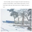 사나이의 로망, 무인도개척기 (책 영화같은 삶,서바이벌리스트) 이미지