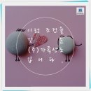 강원대학교병원장례식장 이미지
