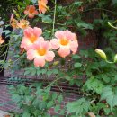 성산근린공원 이미지