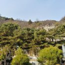 GR(구례군)-[지리산온천로]-상-6 | [전남/구례] 신년 맞이 목욕재계, 가족들과 지리산 온천랜드 나들이(오수 휴게소에서의 맛점)