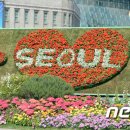 새서울수입 이미지