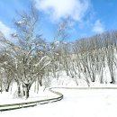 강릉목장 이미지