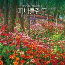 피나클랜드 이미지