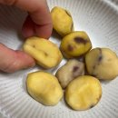 자연당 | 스타벅스 공주 알밤 내돈내산 후기｜임산부도 먹어도 될까? 영양·맛 총정리