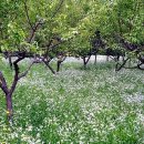 디지털 마케팅 성공전략 이미지