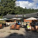 산성애견 이미지