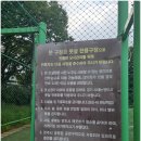 오늘부터 日本語?내일부터 日本GO | [488편/전북특별자치도 전주시 덕진구 팔복동3가]전주제2일반산업단지에 위치한 야외 풋살장 등 다양한...