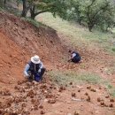 우식농장 이미지