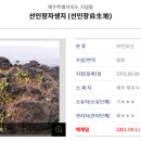 리벤시아스테이