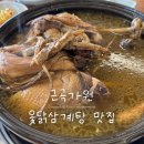 가원 | 진전 근곡가원 후기 | 중복 보양식으로 먹은 옻닭 백숙, 마산 삼계탕 맛집 추천