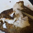 5418 | [김천 농소면 맛집] "독도는 우리땅" 가수가 보증하는 겉바속촉 생선구이 백반, 가정식 전문점 '소반'