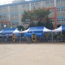 성지초등학교 이미지