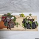 봄다육아트 이미지
