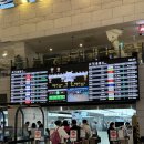 제주도 2박3일 가을여행 ; 코스 경비 옷차림 핑크뮬리 억새밭