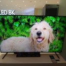 산다... 안산다.. 1683만원 전시 10개월한 82인치 Qled 8k TV 796만원에.. 이미지