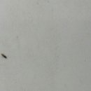 승광농장 이미지