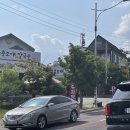 물총조개칼국수