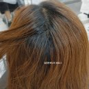 지혜기록지 | 신당역 미용실 오르드비 상왕십리역점 지혜 디자이너 후기