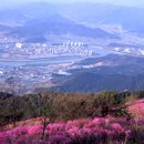 늘빛강가 이미지