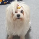 요나헤어