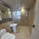 한선파라타운 이미지