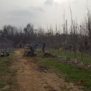 고덕면017 이미지