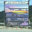 거창-거창-9 | [경남/거창] 9월 가볼만한 곳! 2025 거창 감악산 꽃별 여행 축제 정보
