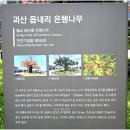 청안초등학교 이미지