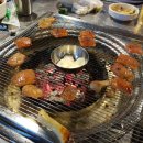 빨간꼼장어 이미지