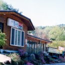 돌마당식당 이미지