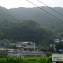 대강면 평촌마을 Daum카페