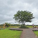 시흥 갯골생태공원 이미지