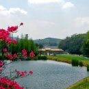 화성골프클럽 연습장 이미지