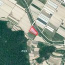 대촌농장 이미지