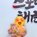 스포렉스 태권도 이미지