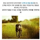 Re:마킹하는 토리ㅠㅠ 어떻게 고칠순 없나요? 이미지