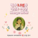 대구덕인초등학교 | 빅아 3.5년차 덕인초4 아이의 어머님 리뷰