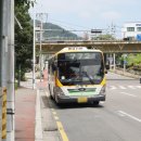 신천(25305) 이미지