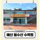 예산 봉수산 수목원 아이랑 가볼만한곳 나들이 후기