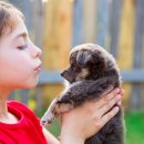 하남숲동물병원 이미지